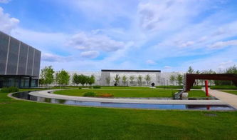 海南研學旅行 千人研學團走進阿膠世界,感受中醫藥文化博大精深