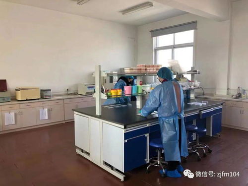 春節臨近我市加強動物疫病監測