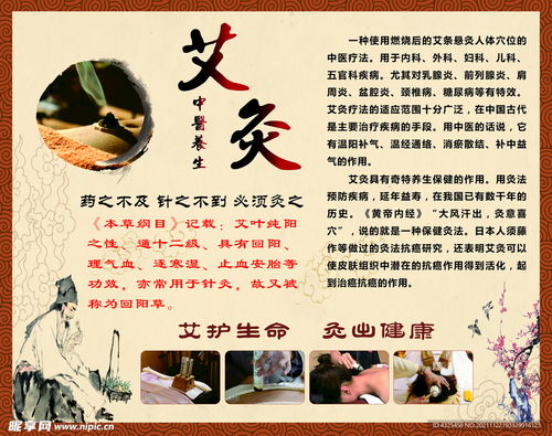 艾灸中醫養生設計圖