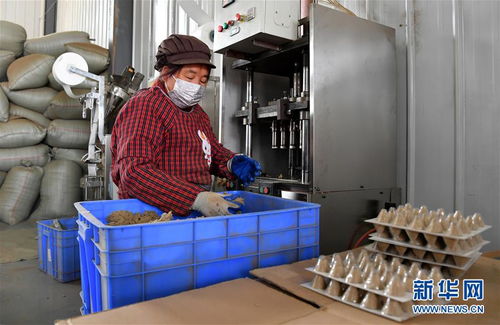 社區工廠有序復工 助力百姓脫貧增收