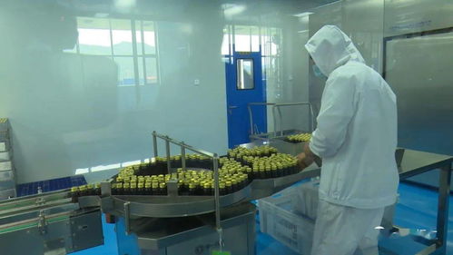 縣政協常委會視察我縣中醫藥健康食品產業發展情況