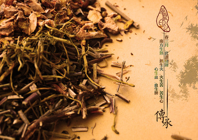 《傳承》中醫中藥攝影|產品|攝影|九城二狗砸 - 原創設計作品 