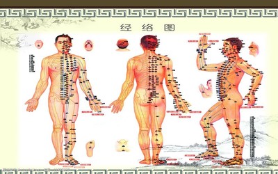 人體經絡圖中醫穴位圖圖片