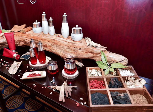 從益盛漢參化妝品益參妮奧看中國人參產業發展