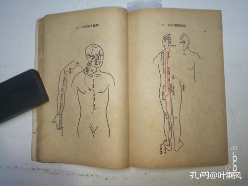 中醫基本知識 中醫輪訓班教材之一