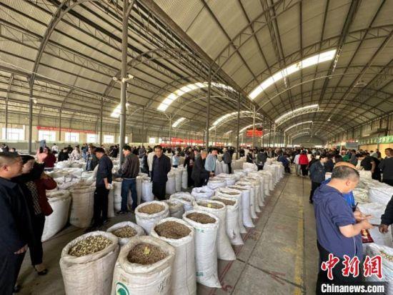 甘肅欲借 前店后廠 模式促中醫藥產業國際化