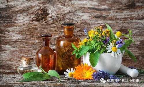 植物神經紊亂瘀血阻絡的中醫辯證