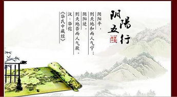 一眼就能看懂的中醫培訓 最簡單中醫入門學習心