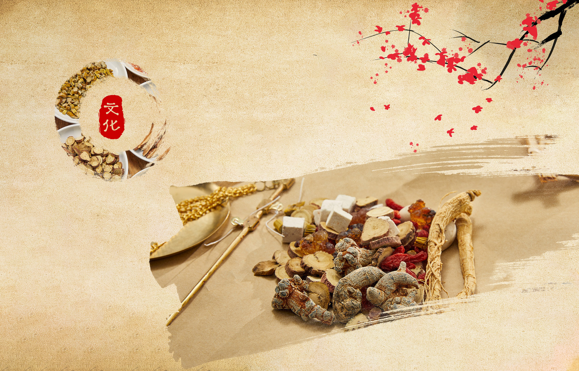 大力實施"四大工程" 嶗山健全中醫藥發展體制機制 鳳凰網青島_鳳凰網