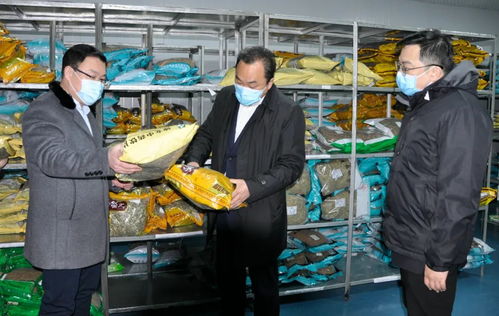 節后上班第一天縣領導調研重點企業,釋放重要信號