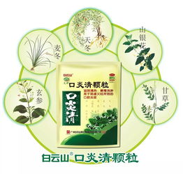 廣藥非遺在廣府廟會等你啦 去瞅瞅吧