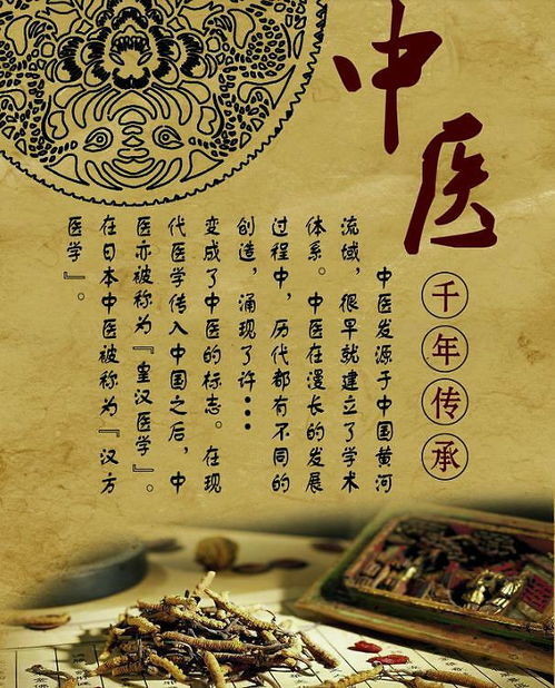 淺談新時代中醫(yī)藥發(fā)展