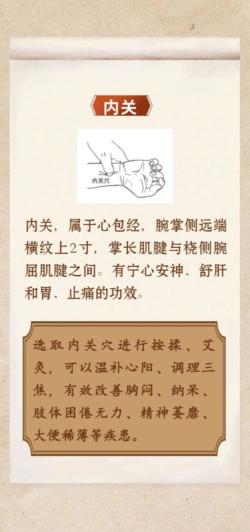 夏季養(yǎng)陽(yáng)正當(dāng)時(shí) 中醫(yī)解析暑熱時(shí)節(jié)養(yǎng)陽(yáng)之道